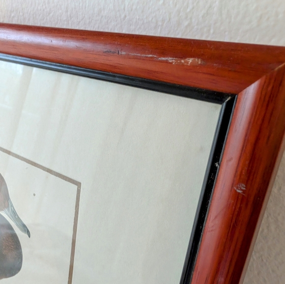 Frame - Picture 4 of 5